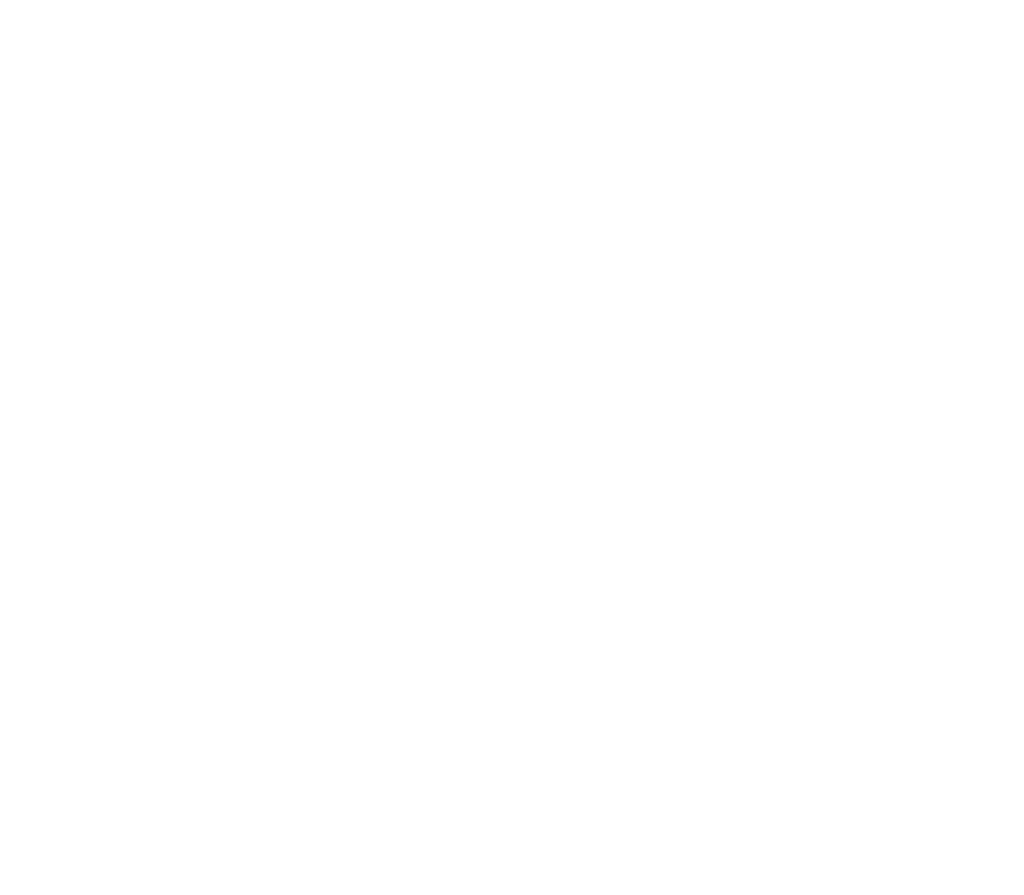 FT Smash mascot